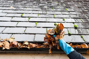 Roof Cleaning